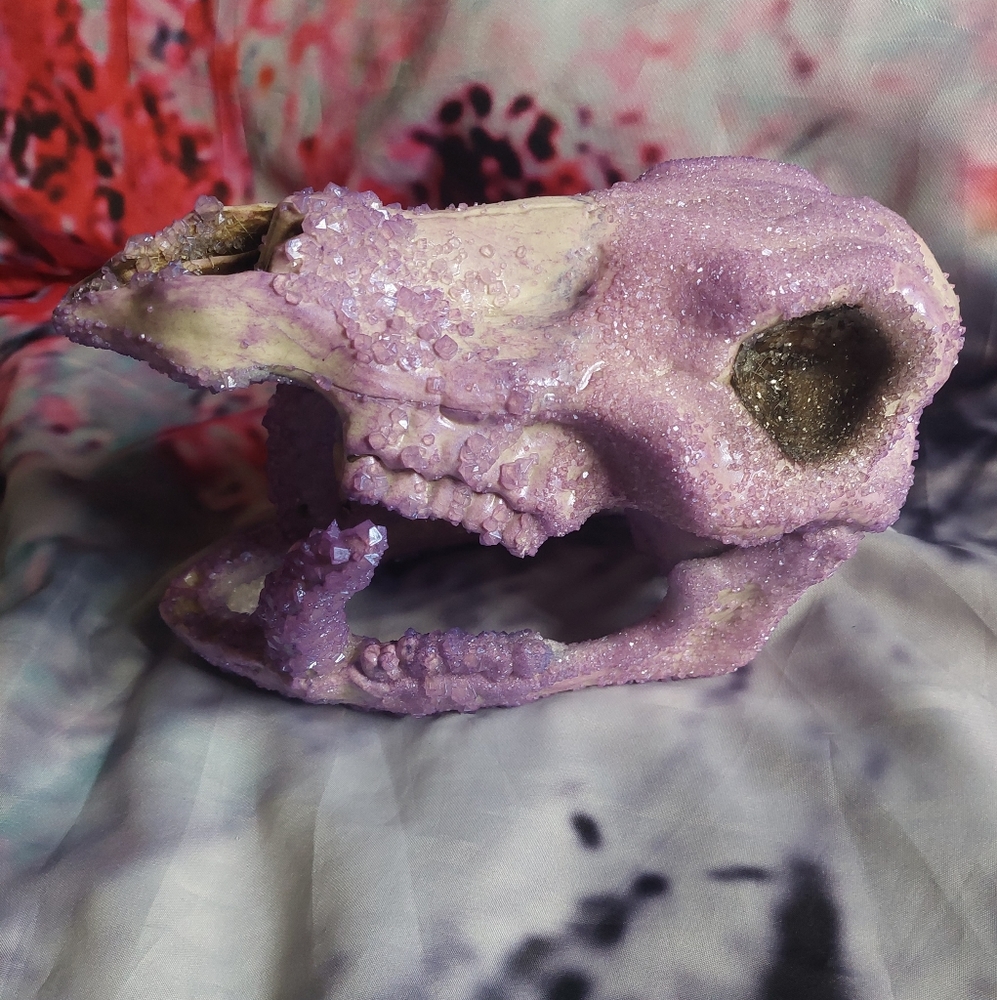 Crystal Skulls - Picture 7 of 14
